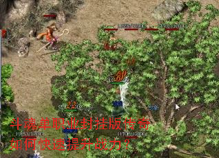 ���굥ְҵ��Ұ洫����ο�������ս����