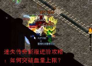 ��ʧ�����·����׹��ԣ����ͻ��Ѫ�����ޣ�