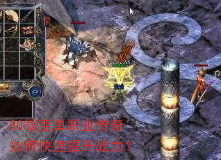80΢�䵥ְҵ������ο�������ս����