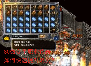 80΢�䵥ְҵ������ο�������ս����