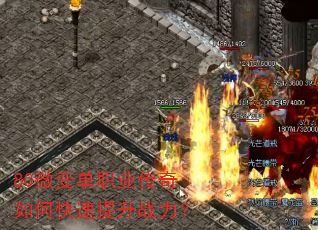 80΢�䵥ְҵ������ο�������ս����