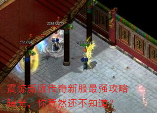 ���°洫���·���ǿ�����ع⣬�㾹Ȼ����֪����
