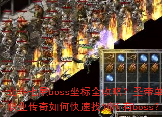 ��������boss����ȫ���ԣ�ʥ�۵�ְҵ������ο����ҵ�����boss��