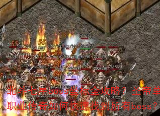 ��������boss����ȫ���ԣ�ʥ�۵�ְҵ������ο����ҵ�����boss��