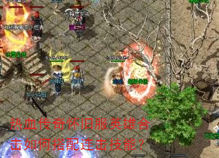 ��Ѫ���滳�ɷ�Ӣ�ۺϻ���δ����������ܣ�