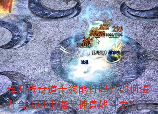 �¿������ʿ���ܴ�����������ϻ�sf�е�ʿ����ս������