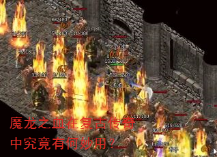 ħ��֮Ѫ�ڸ��Ŵ����о����к����ã�