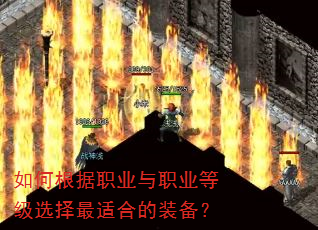 ��θ���ְҵ��ְҵ�ȼ�ѡ�����ʺϵ�װ����