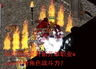 如何快速提升新开单职业wushe传奇角色战斗力? 如何快速提升新开单职业wushe传奇角色战斗力?