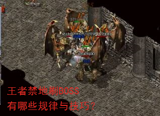 ���߽���ˢBOSS����Щ�����뼼�ɣ�