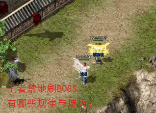 ���߽���ˢBOSS����Щ�����뼼�ɣ�