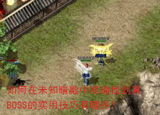 �����δ֪������׼ȷ�ҵ���BOSS��ʵ�ü�������Щ��