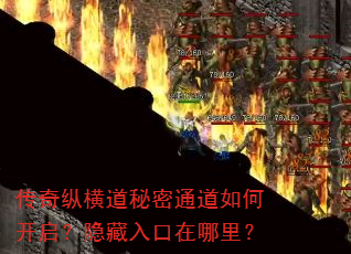 �����ݺ������ͨ����ο�����������������