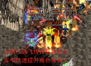 如何在腾飞传奇私服版本库中快速提升角色等级? 如何在腾飞传奇私服版本库中快速提升角色等级?