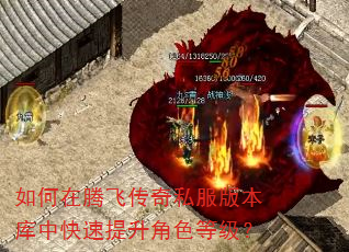 如何在腾飞传奇私服版本库中快速提升角色等级? 如何在腾飞传奇私服版本库中快速提升角色等级?