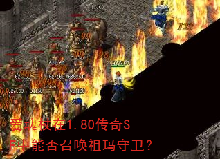 ��������1.80����SF���ܷ��ٻ�����������
