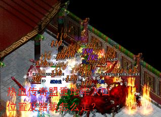 ��Ѫ�������ص������λ�ü�·����ô�ߣ�
