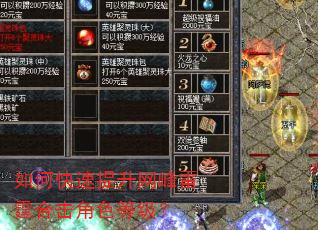 如何快速提升网峰雷霆合击角色等级? 如何快速提升网峰雷霆合击角色等级?