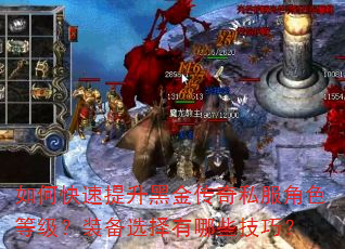如何快速提升黑金传奇私服角色等级?装备选择有哪些技巧? 如何快速提升黑金传奇私服角色等级?装备选择有哪些技巧?