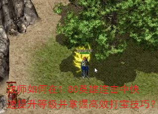 法师如何在1.80英雄连击中快速提升等级并掌握高效打宝技巧? 法师如何在1.80英雄连击中快速提升等级并掌握高效打宝技巧?