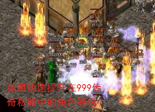 如何快速提升在999传奇私服中的角色等级? 如何快速提升在999传奇私服中的角色等级?