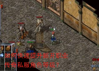 如何快速提升新开职业传奇私服角色等级? 如何快速提升新开职业传奇私服角色等级?