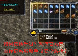 如何快速升级?80仿官方热血传奇私服新手攻略全解析? 如何快速升级?80仿官方热血传奇私服新手攻略全解析?
