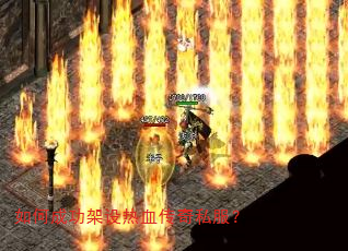 ��γɹ�������Ѫ����˽����