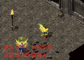 迷失异界?如何驯服灵兽成为传奇霸主 迷失异界?如何驯服灵兽成为传奇霸主