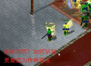 迷失异界?如何驯服灵兽成为传奇霸主 迷失异界?如何驯服灵兽成为传奇霸主