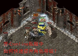 开心online私服中如何快速提升角色等级? 开心online私服中如何快速提升角色等级?