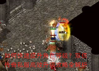 如何快速提升角色等级?双倍传奇私服高效升级攻略全解析 如何快速提升角色等级?双倍传奇私服高效升级攻略全解析