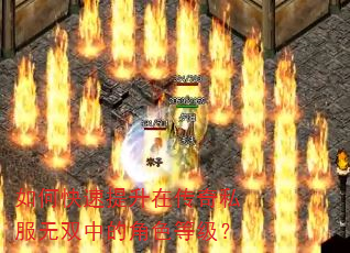 如何快速提升在传奇私服无双中的角色等级? 如何快速提升在传奇私服无双中的角色等级?