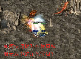 如何快速提升在传奇私服无双中的角色等级? 如何快速提升在传奇私服无双中的角色等级?