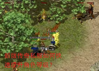 新版传奇私服如何快速提升角色等级? 新版传奇私服如何快速提升角色等级?