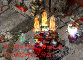 如何在问鼎热血传奇私服中快速提升角色等级? 如何在问鼎热血传奇私服中快速提升角色等级?
