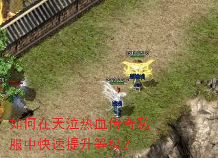 如何在天泣热血传奇私服中快速提升等级? 如何在天泣热血传奇私服中快速提升等级?