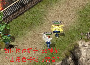 如何快速提升185神龙合击角色等级与装备? 如何快速提升185神龙合击角色等级与装备?