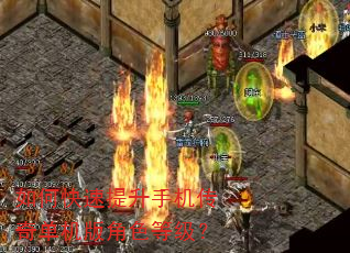 如何快速提升手机传奇单机版角色等级? 如何快速提升手机传奇单机版角色等级?