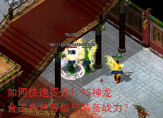 如何快速提升1.95神龙合击角色等级与装备战力? 如何快速提升1.95神龙合击角色等级与装备战力?