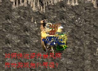 如何快速提升暴风网传奇游戏角色等级? 如何快速提升暴风网传奇游戏角色等级?