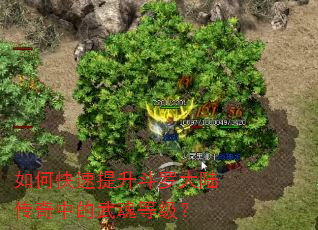 如何快速提升斗罗大陆传奇中的武魂等级? 如何快速提升斗罗大陆传奇中的武魂等级?