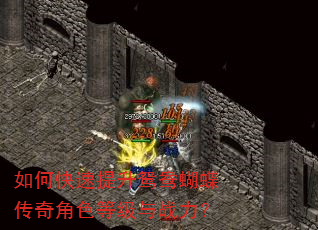 如何快速提升鸳鸯蝴蝶传奇角色等级与战力? 如何快速提升鸳鸯蝴蝶传奇角色等级与战力?