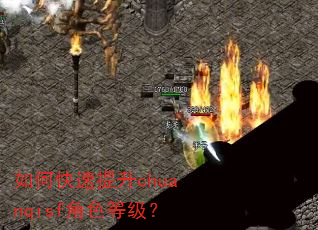 如何快速提升chuanqisf角色等级? 如何快速提升chuanqisf角色等级?
