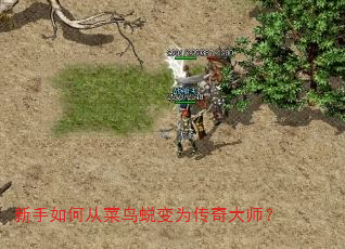 新手如何从菜鸟蜕变为传奇大师? 新手如何从菜鸟蜕变为传奇大师?