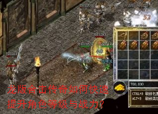 龙版合击传奇如何快速提升角色等级与战力? 龙版合击传奇如何快速提升角色等级与战力?