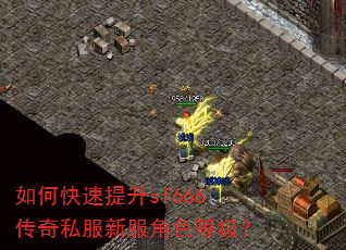 如何快速提升sf666传奇私服新服角色等级? 如何快速提升sf666传奇私服新服角色等级?