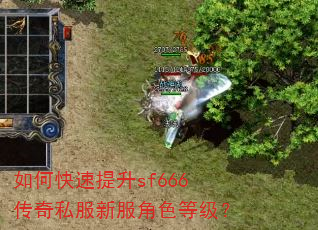 如何快速提升sf666传奇私服新服角色等级? 如何快速提升sf666传奇私服新服角色等级?