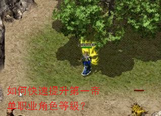 如何快速提升第一帝单职业角色等级? 如何快速提升第一帝单职业角色等级?