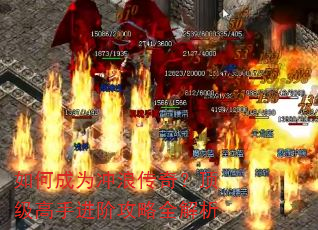 ��γ�Ϊ���˴��棿�������ֽ��׹���ȫ����